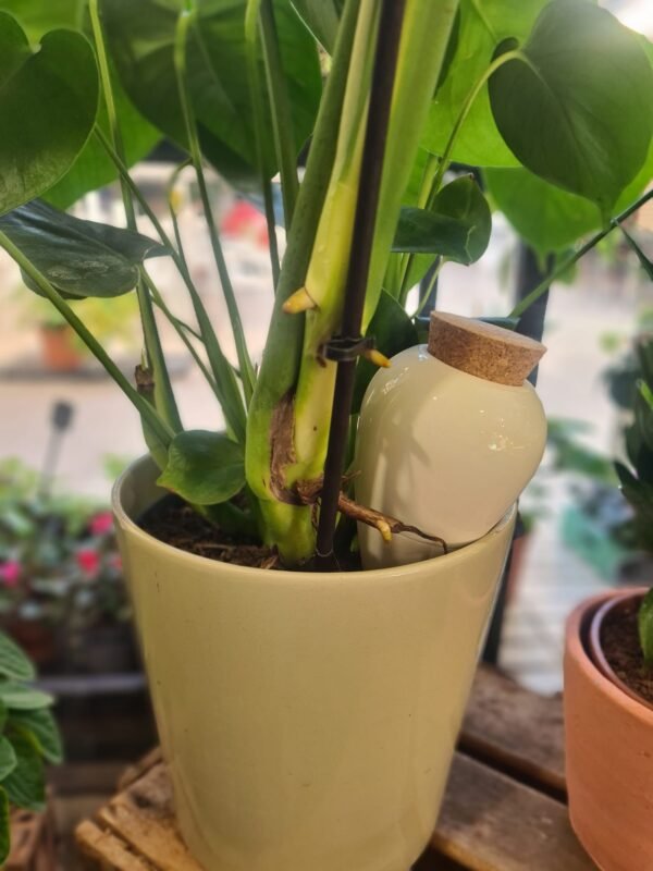Olla de riego - Imagen 2