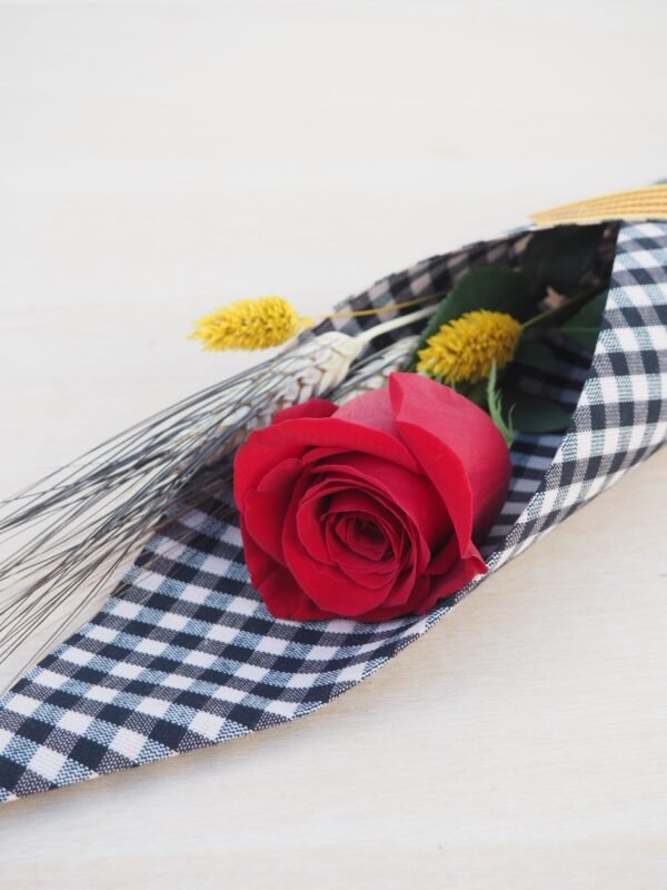 Rosa Sant Jordi Vilanovina